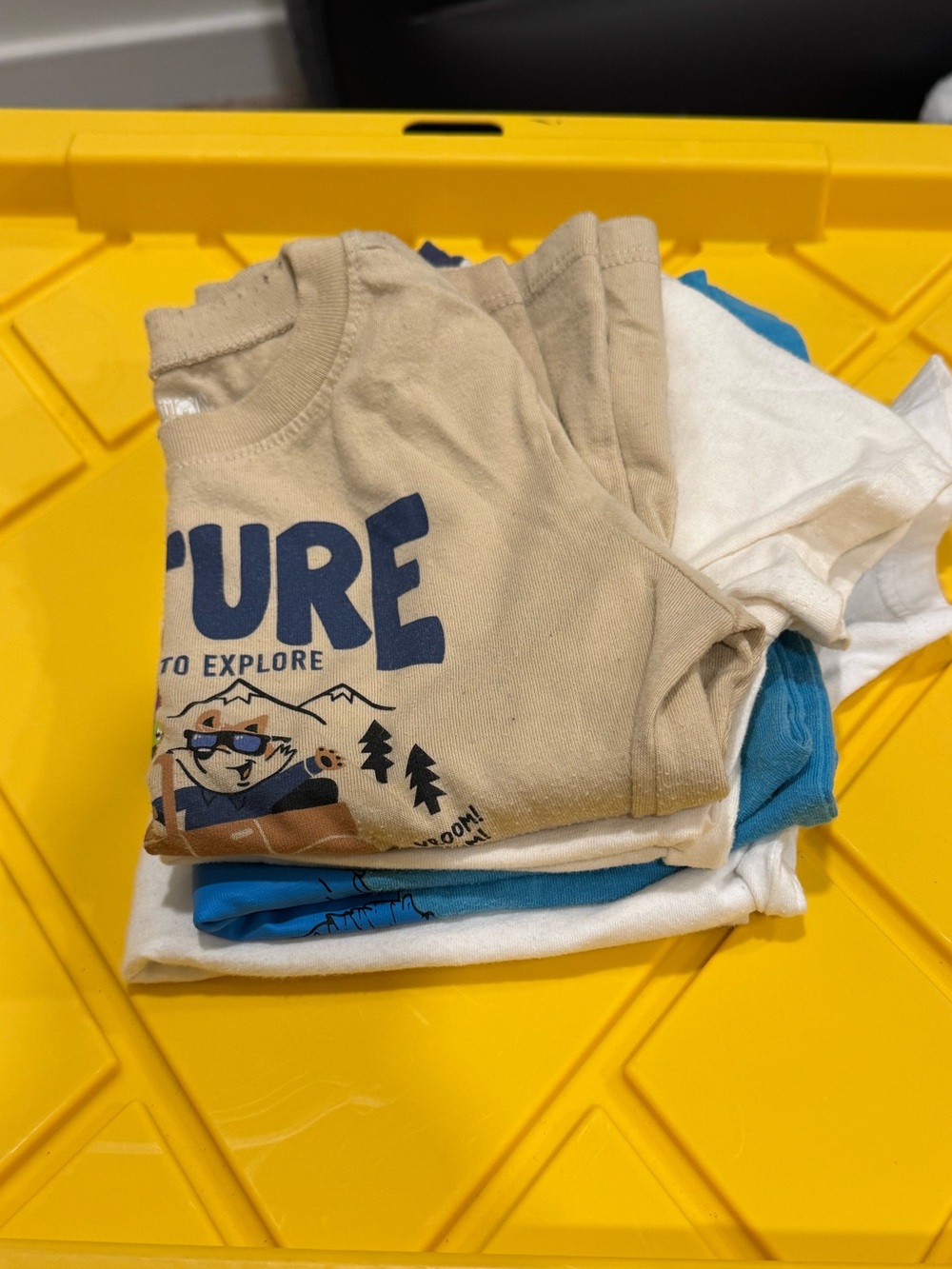 Boy T-shirt Bundle